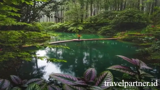 Panorama Alam Eksotis yang Berpadu dengan Budaya Lokal